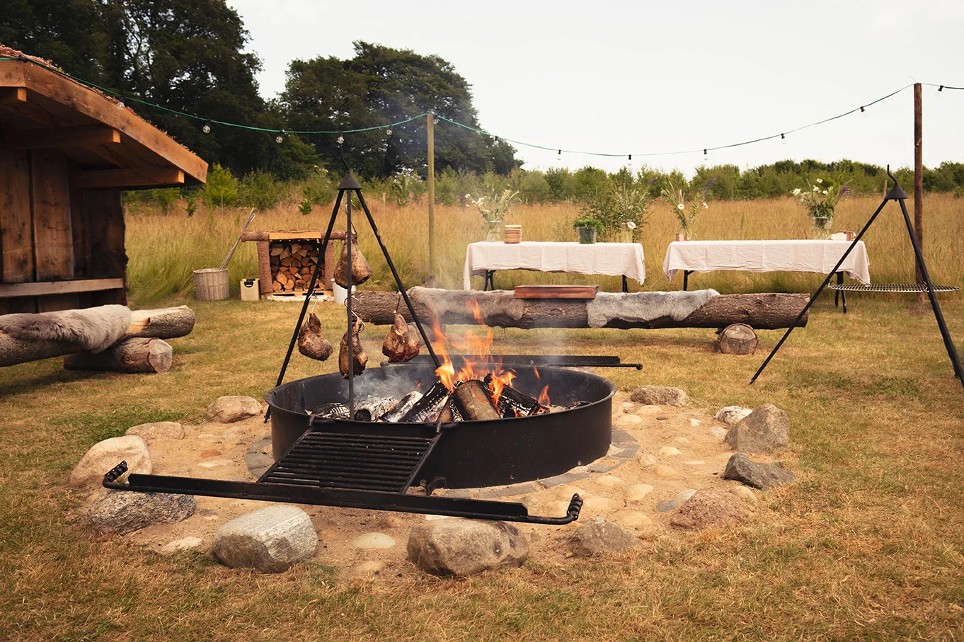 Fjelsted Skov Hotel & Konference